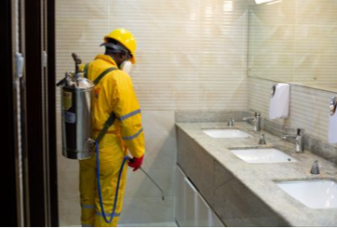 Pest Control Services